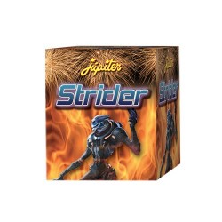 STRIDER