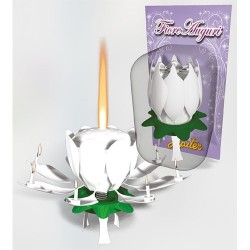 CANDELA MUSICALE BIANCA