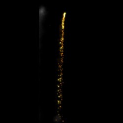 GOLD WILLOW TAIL